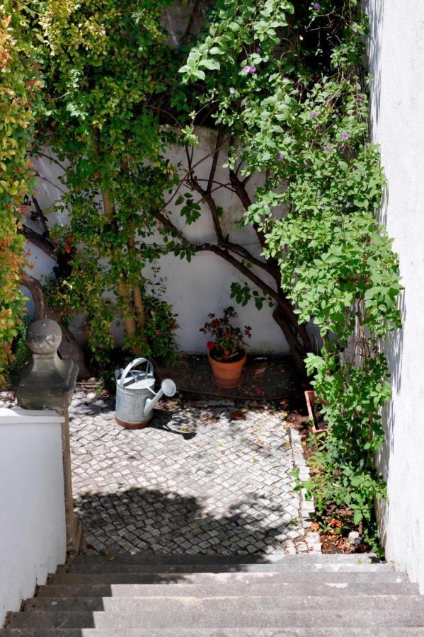 Secret Garden In Alfama